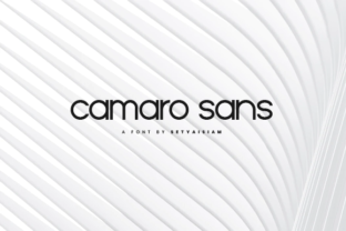 Camaro: A Typeface Blending Classic Charm with Modern Elegance