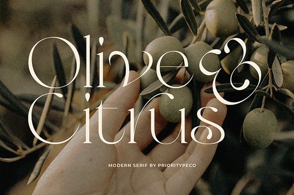 Olive & Citrus: A Typeface for Timeless Brand Elegance