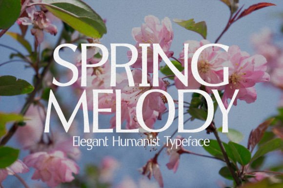 Spring Melody: An Elegant Typeface for Modern Design
